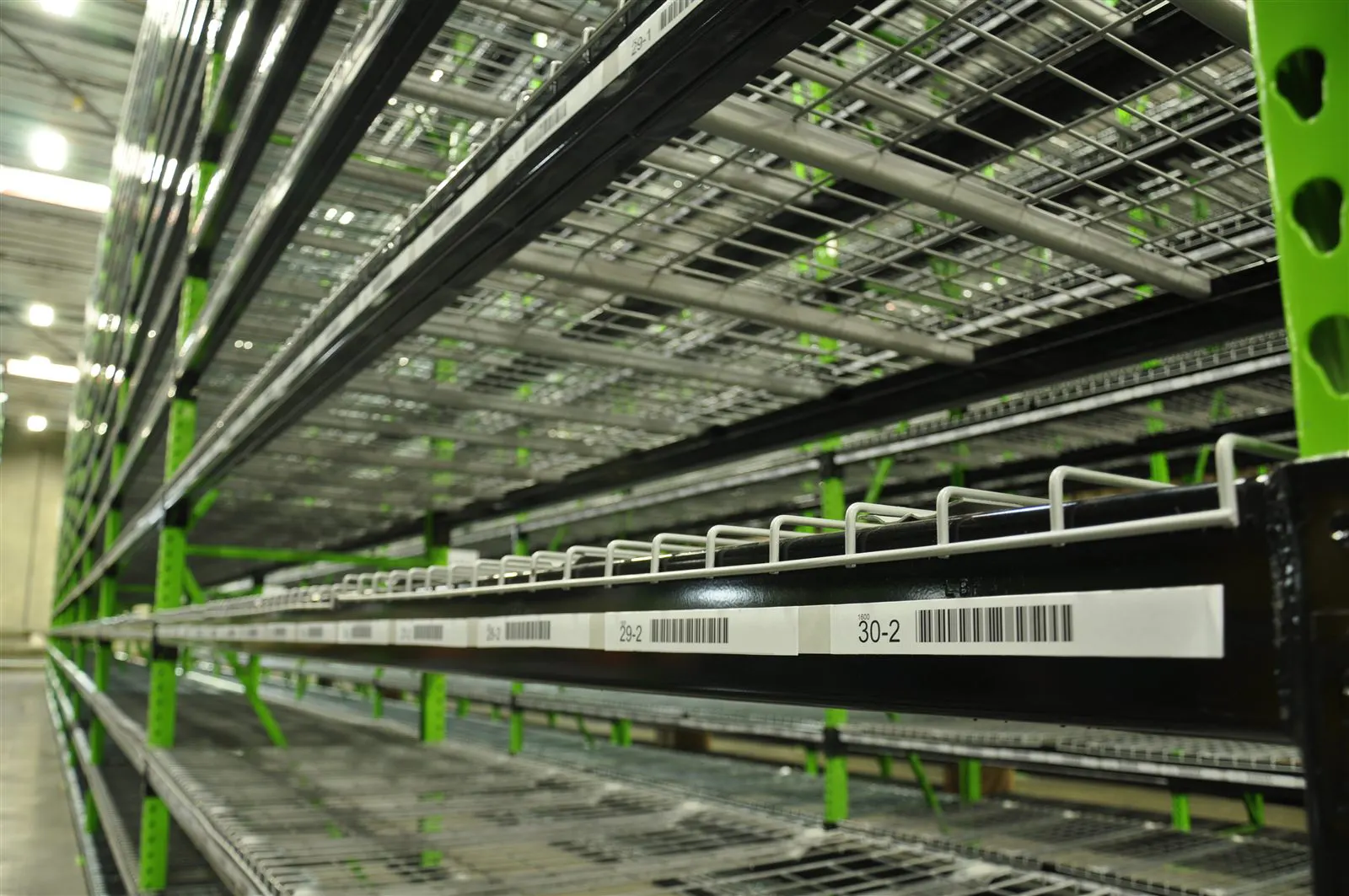 Close view of barcode labels on green warehouse shelving used for scan tracking